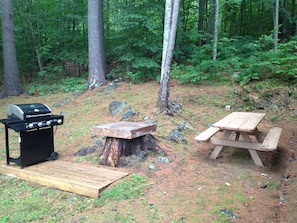 Gas grill and picnic area right next to the cottage