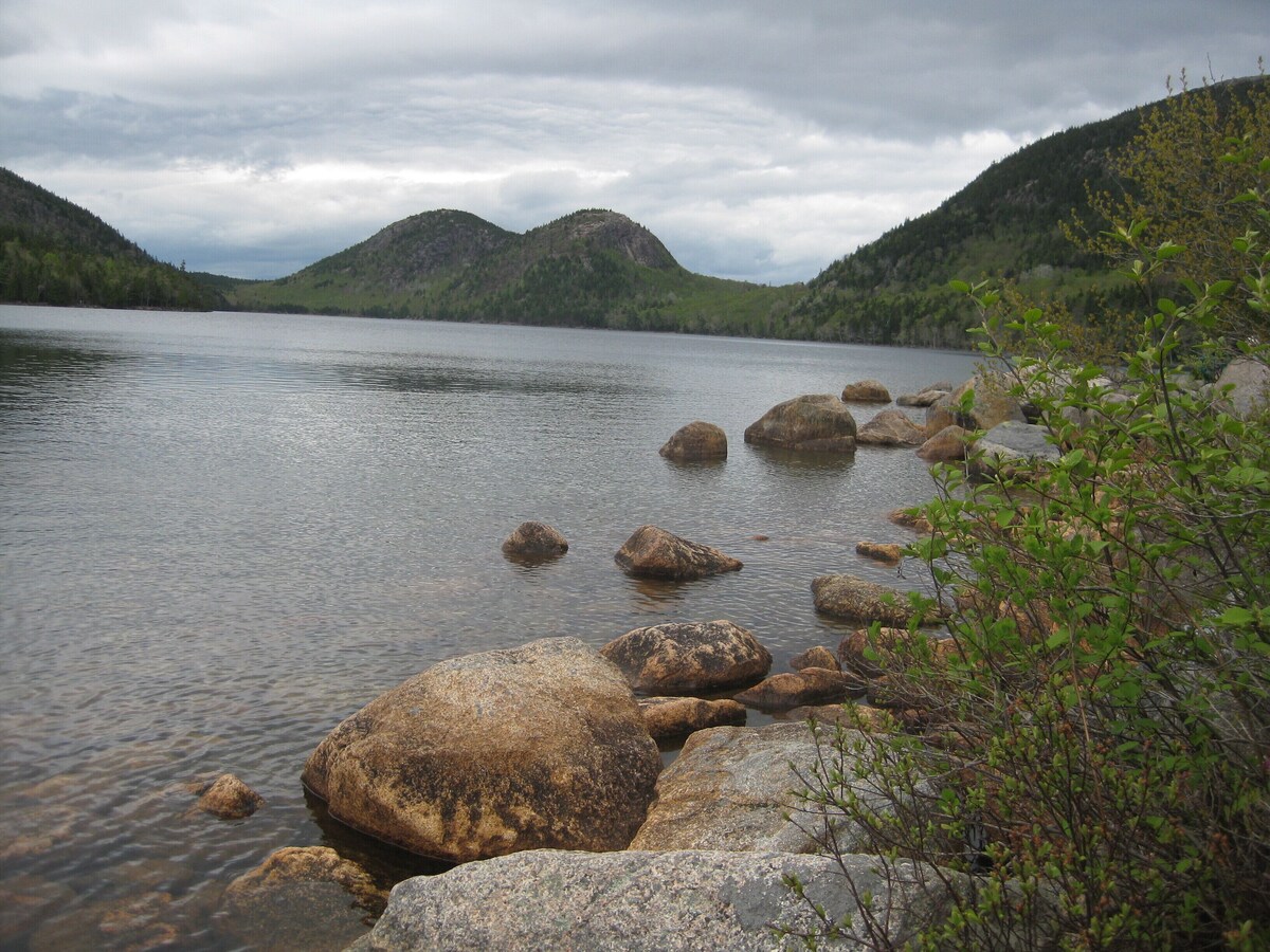 Main Image