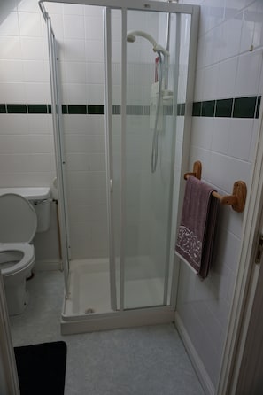 Shower in the en-suite bathroom attached to master bedroom.