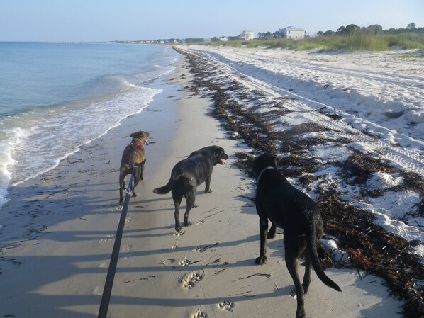 Strand