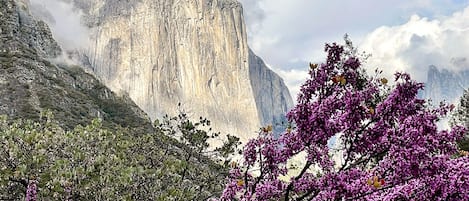 El Capitain is one of the largest pieces of granite in the world