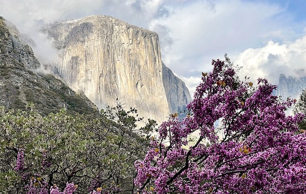 El Capitain is one of the largest pieces of granite in the world