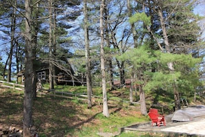 cabin through the pine trees