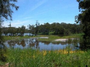 The lake about 50m from our house