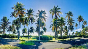 Beach in community