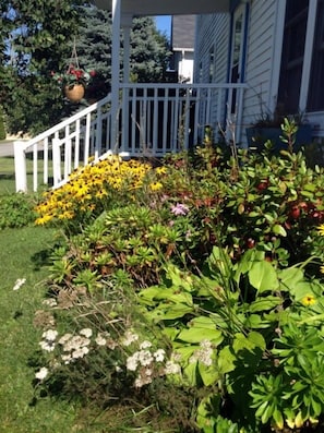 Flowers outside Sea Shell Cottage