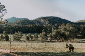 Our gorgeous mountains