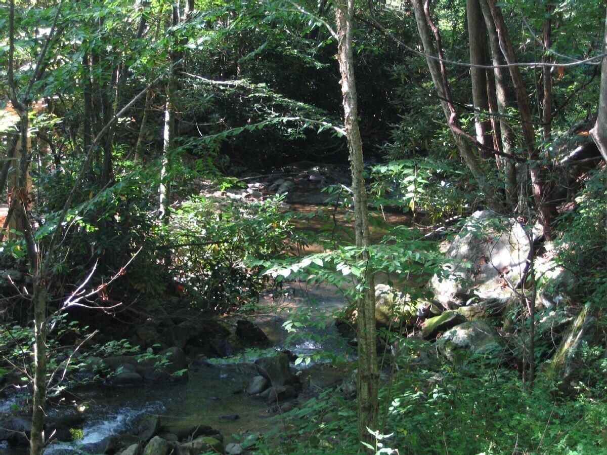 Bears Den: Private, Comfortable, Well Kept Cottage w Hot Tub overlooking River.