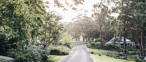 Jardines del alojamiento