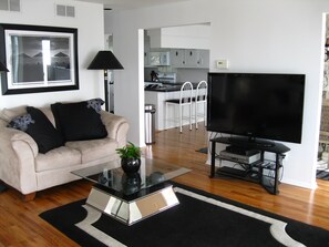 55' Screen, Blu-Ray, FIOS 