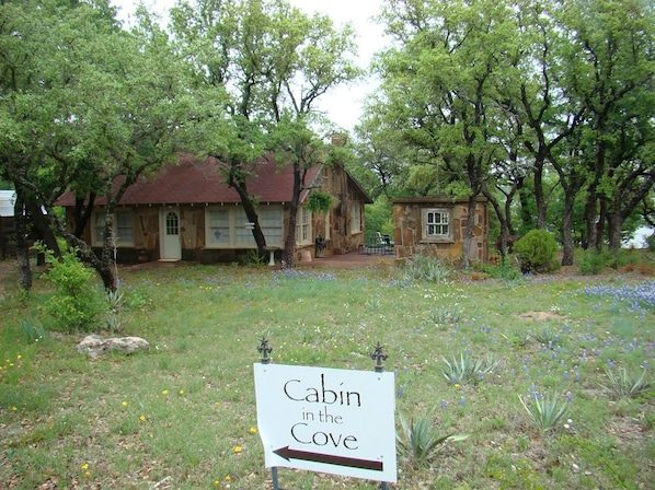 Cabin in the Cove