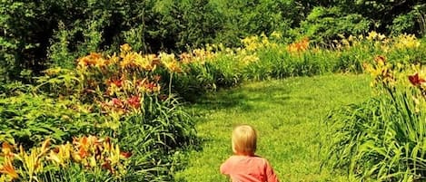 Jardines del alojamiento