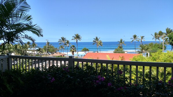 View From Lower Lanai
