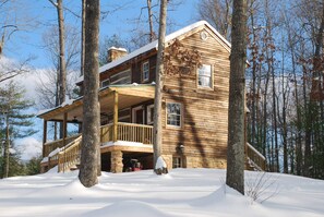 Cabin in the winter