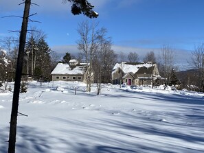 View from the west, across the frozen pond. Ice skate in winter!