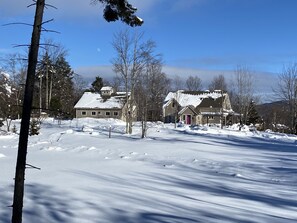 View from the west, across the frozen pond. Ice skate in winter!