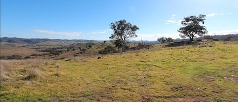 Terrain de l’hébergement 