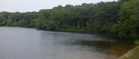 Beautiful Pond for swimming, kayaking just steps from your door!