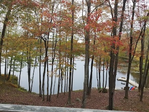 View from back porch