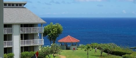 Enjoy morning coffee at sunrise on the lanai