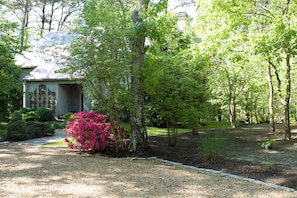 Side landscaped area