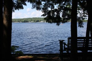 Lake shore view