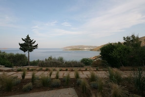 view from the front garden