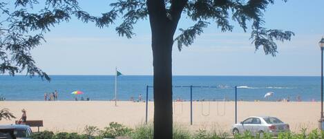 Smashing View of North Beach from Your Deck. Green Flag Day.  Perfect, Calm Lake