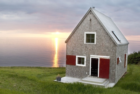 Exteriör