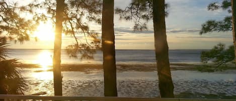 View from first floor balcony. Sunrise on a low Winter tide.