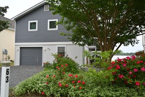 Late spring street view with punch roses in bloom  