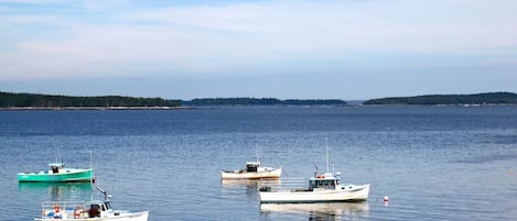 View from Deck