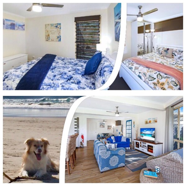 Puppies and Pancakes Coolum Beach - downstairs unit with large yard 