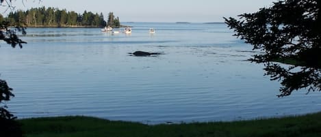 View Sally Island