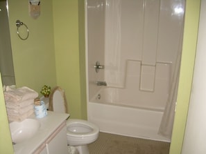 Hall Bathroom with Tub and Shower