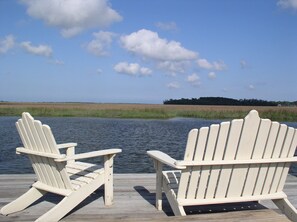 Watch the Dolphins, Pelicans, Blue Herons and other wildlife as you Relax!!