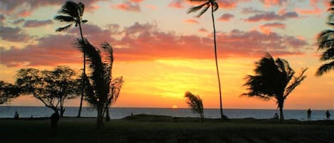 A favorite evening ritual: 
Watch the sunset from the Maui Sunset grounds.