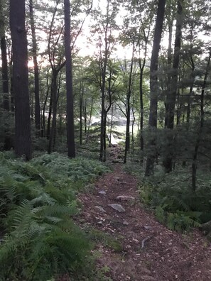 Path down to the lake