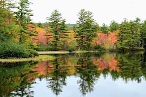 Fall on the lake