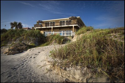 Pet Friendly On The Ocean Direct Beachfront New Smyrna Beach