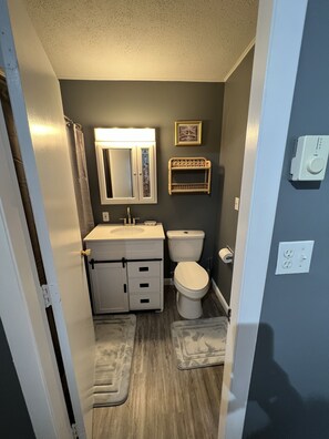 Full Bathroom in Master Bedroom