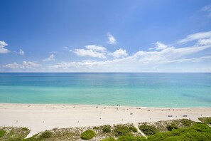 Direct Beachfront Views