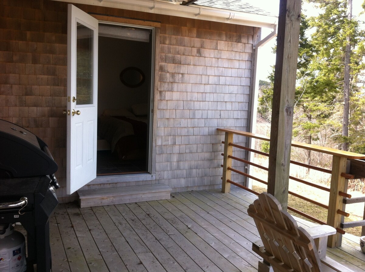 Updated Apartment Quiet Location Trees Water Walk To Downtown.
