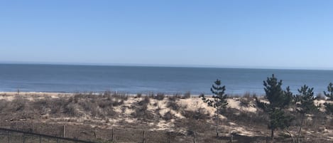 Vue sur la plage ou l’océan