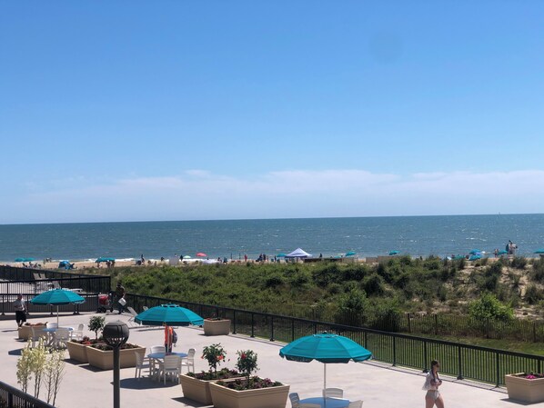 Magnificent view of the ocean maybe even see a dolphin