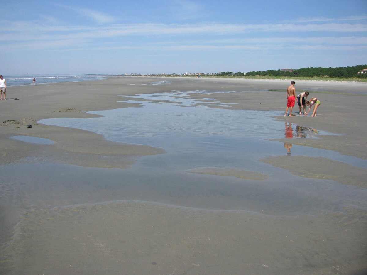 3BR Peaceful, Kiawah, Lagoon View Home, Wifi, Comfortable and Welcoming