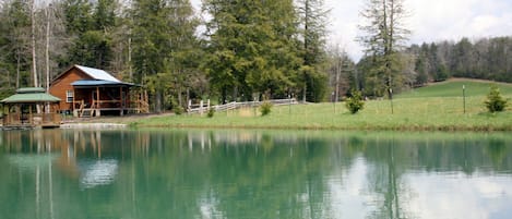 peaceful, secluded cabin . Gazebo with fishing dock on the water.