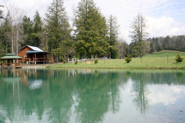 peaceful, secluded cabin . Gazebo with fishing dock on the water.