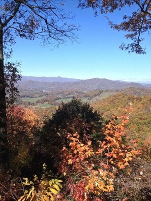 The View from the front Porch