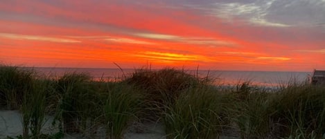 Welcome to Bethany Beach. Bethany at Sunrise